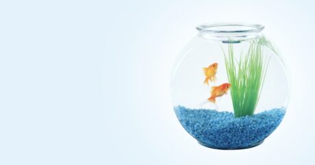 banner_3_aqua@2x