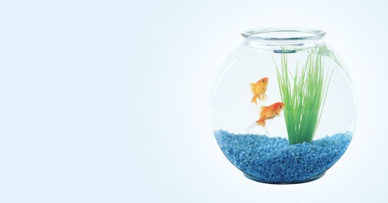 banner_3_aqua@2x