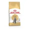 Royal_Canin_Brtish_Short_Hair