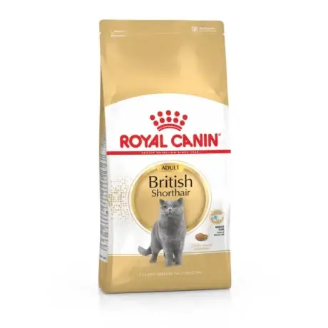 رويال كانين بريتش شورت هير (Royal Canin British Shorthair)